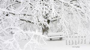 tapety z kalendarzem na luty 2019 3