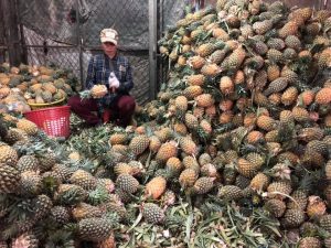 Kambodza targ lokalny