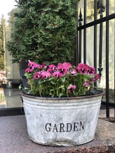 Hotel Afrodyta Business Spa 12