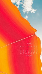 tapety na komorke czerwiec 2019 6