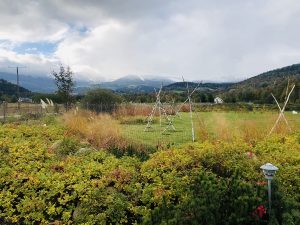 bezpieczny wypoczynek w czasie pandemii 25