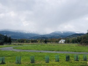 bezpieczny wypoczynek w czasie pandemii 41