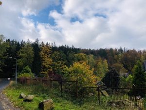 bezpieczny wypoczynek w czasie pandemii 42