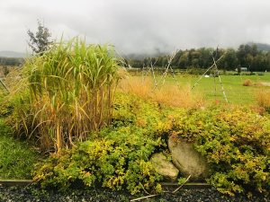 bezpieczny wypoczynek w czasie pandemii 8